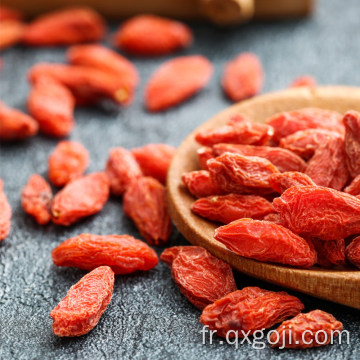 Fruit de goji de baie de goji bio avec des nutritions